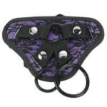 Me You Us Lace Harness With Bullet Pocket